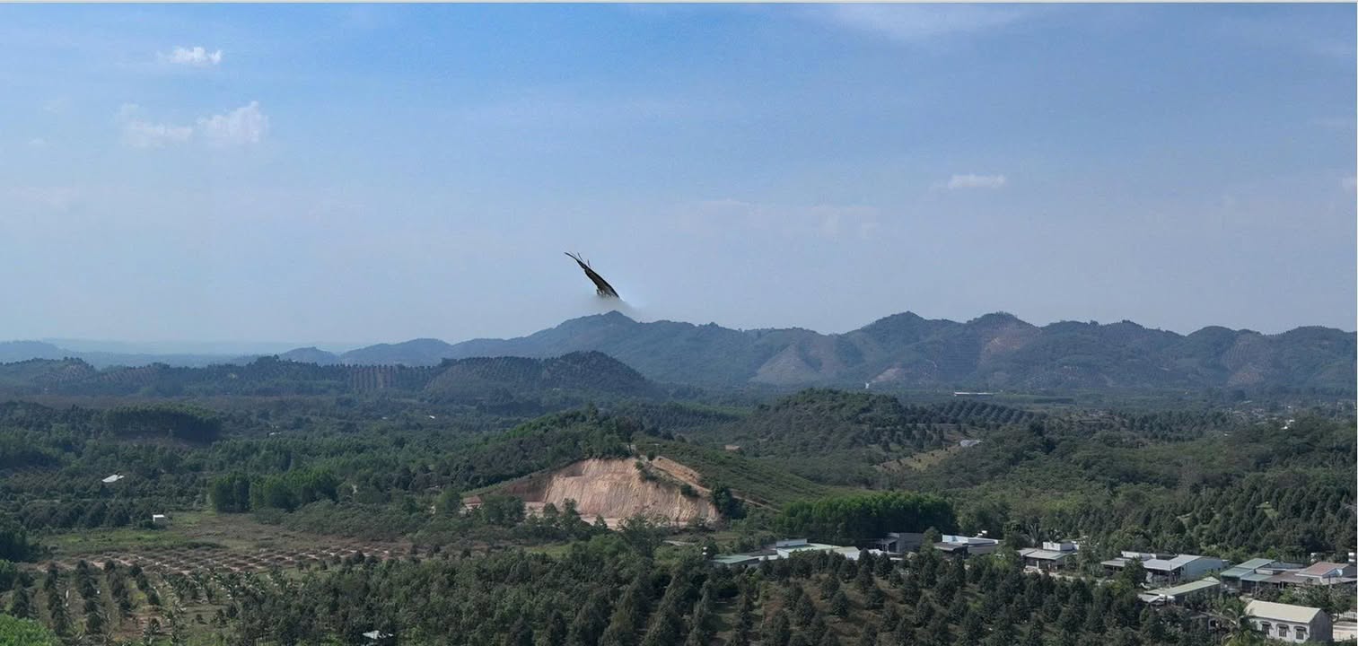 Nhà Mặt Tiền QL20, TT Ma Đa Guôi - 234m² Kinh Doanh Sầm Uất