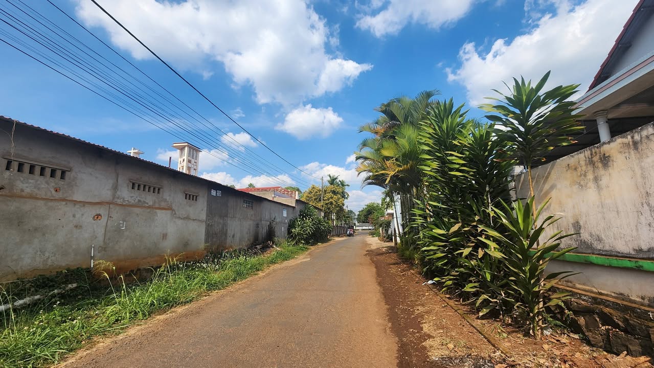 Đất Nền Hẻm Đại Lộ BMT 145m² - Sổ Đỏ Thổ Cư, Giá 2 Tỷ