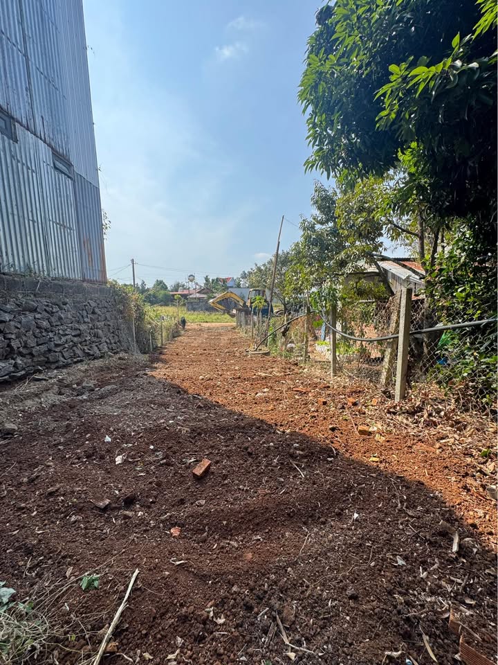 Đất nền Tân Hoà BMT 100m² giá 1.39 tỷ - Tiềm năng tăng giá!