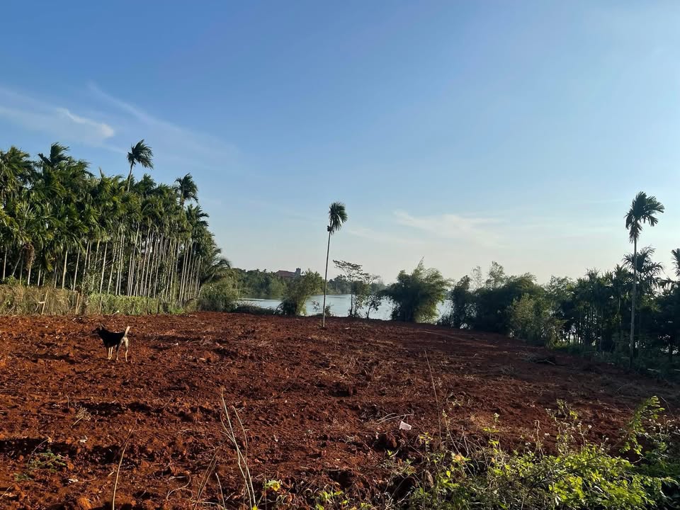 Đất nền Tân Bắc, Krông Pắc 756m² - Pháp lý rõ ràng!