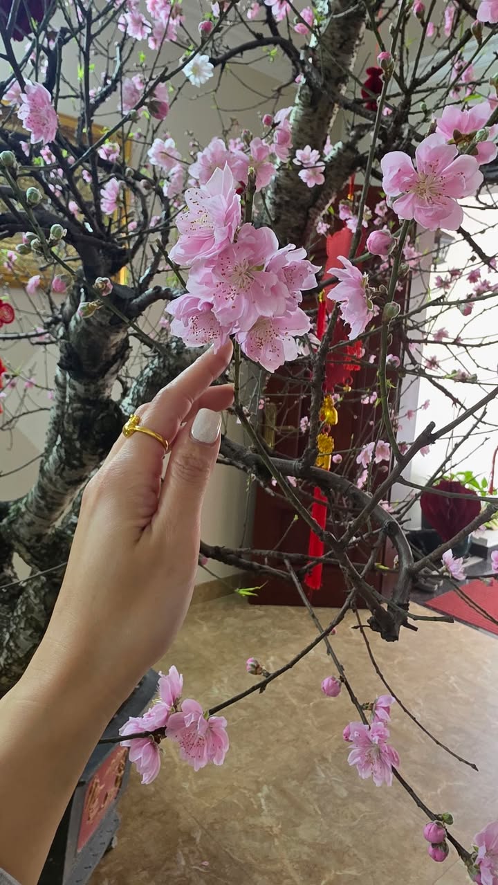 Đất nền Nam Sông Đào Nam Định 60.8m² - Tiềm năng tăng giá vượt trội!