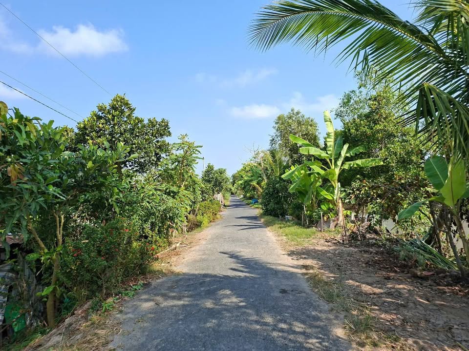 Đất vườn P. Mỹ Phú, Cao Lãnh 5.440m² - Sổ đỏ chính chủ