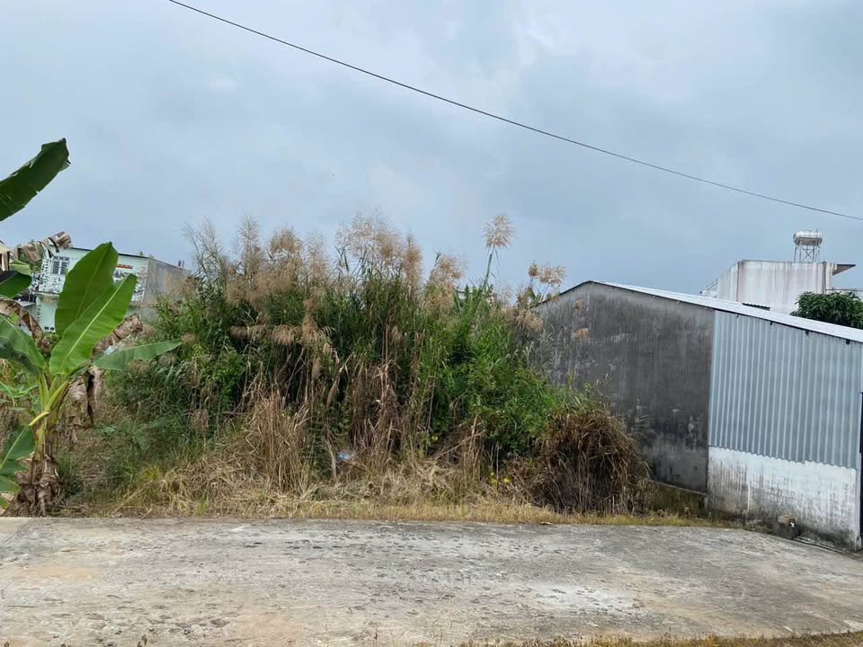 Đất nền Phường Tân Hạnh, Vĩnh Long 232m² - Giá tốt đầu tư!