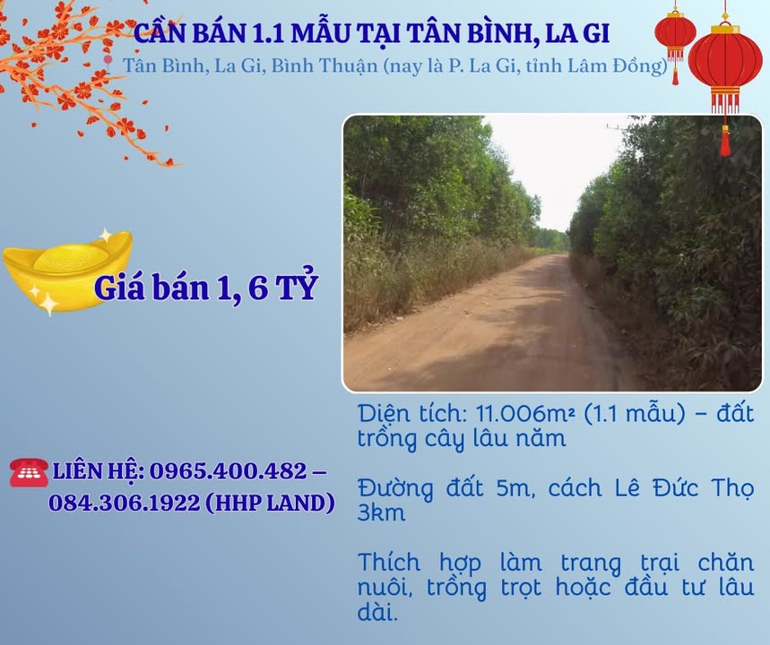 Bán Đất Vườn 11.006m² Giá 1.6 Tỷ - La Gi, Bình Thuận - Cơ Hội Đầu Tư Sinh Lời!