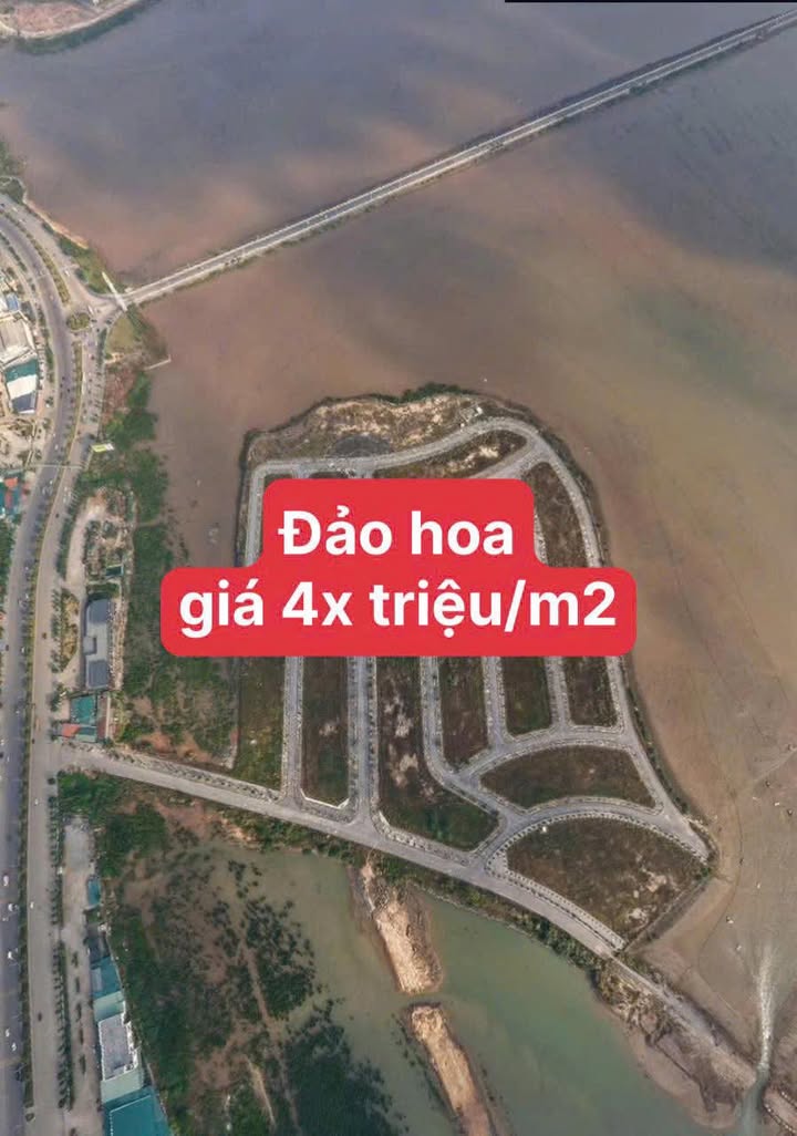 Đất Nền Đảo Hoa Tuần Châu 300m² Giá 12 Tỷ - Sổ Đỏ Chính Chủ