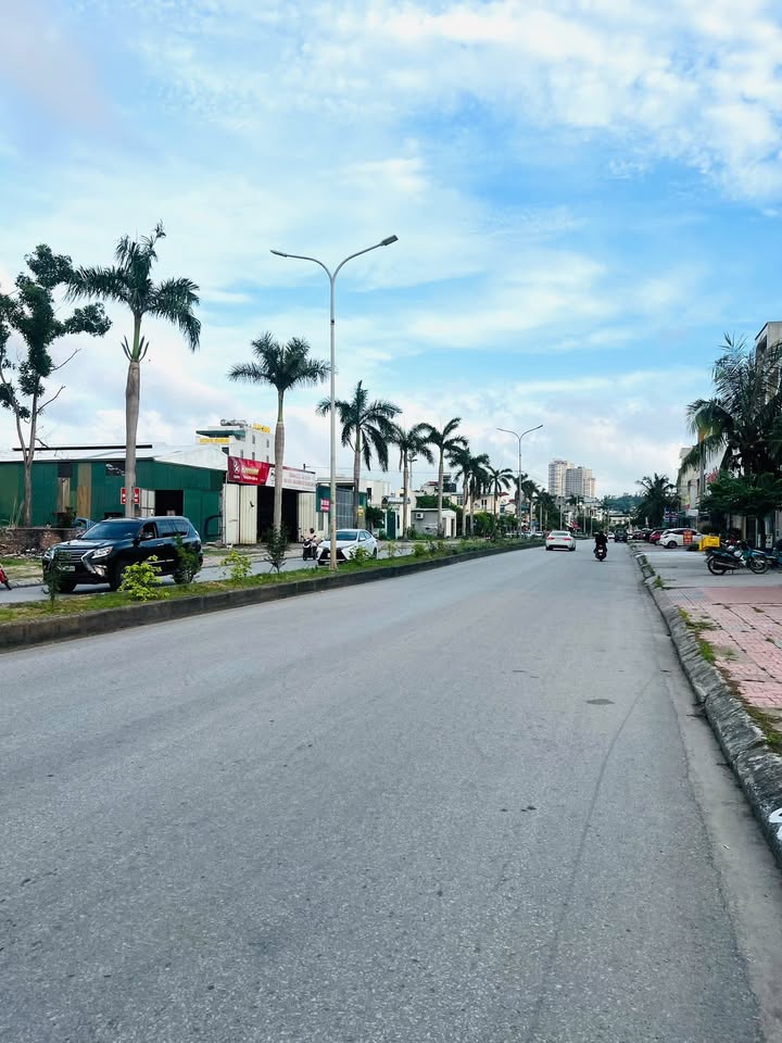 Đất nền Hạ Long - Trục 31m Trần Thái Tông, 75m² - Kinh doanh đắc lợi