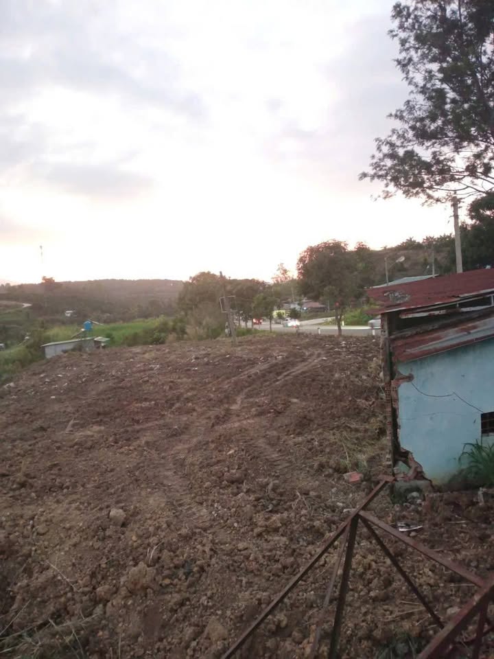 Đất Vườn Lâm Đồng 5000m² Mặt Tiền QL20 Giá 12 Tỷ - Sẵn Sổ Đỏ