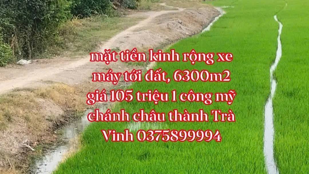 Bán gấp 6300m² đất ruộng Mỹ Chánh, Trà Vinh - Lộc Vượng Phong Thủy