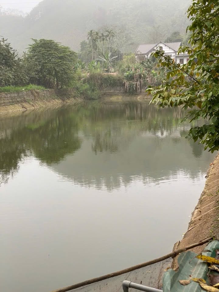 Biệt Thự Nghỉ Dưỡng Yên Bái 13826m² giá 17 tỷ - Nghỉ dưỡng lý tưởng!