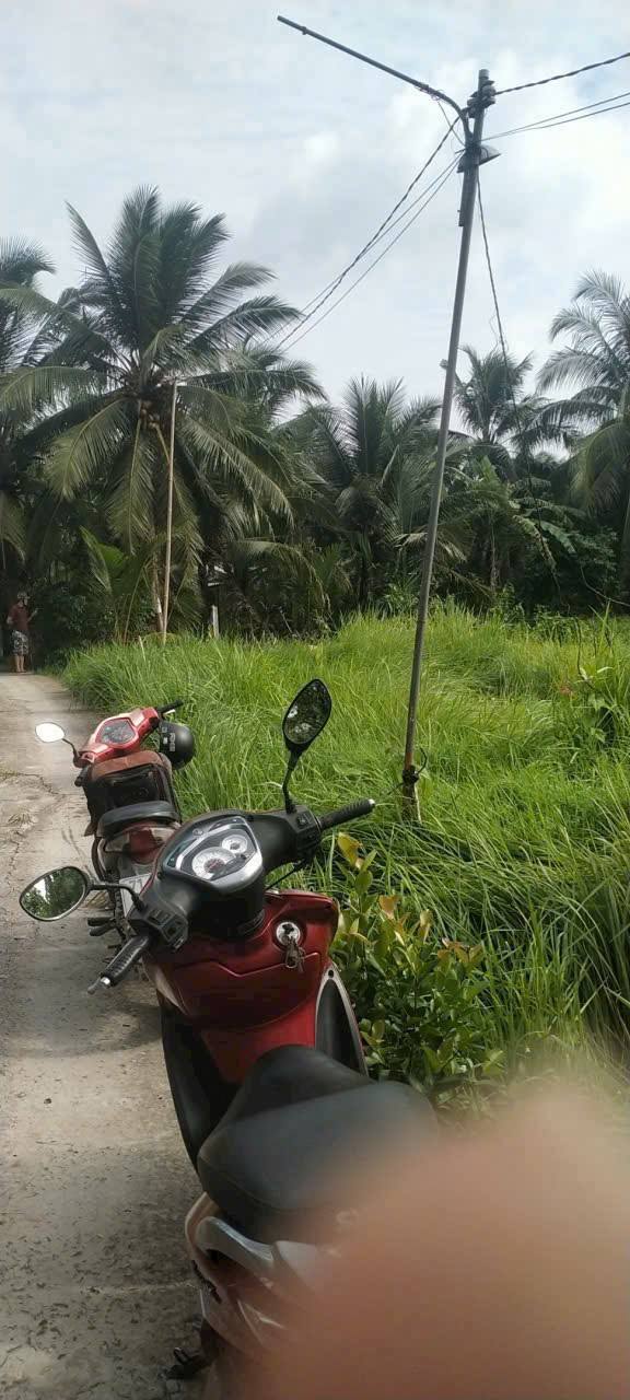 Bán Đất Nền Sổ Đỏ Sẵn, Vị Trí Đắc Địa Xã Nhơn Thạnh, Bến Tre - Giá Tốt