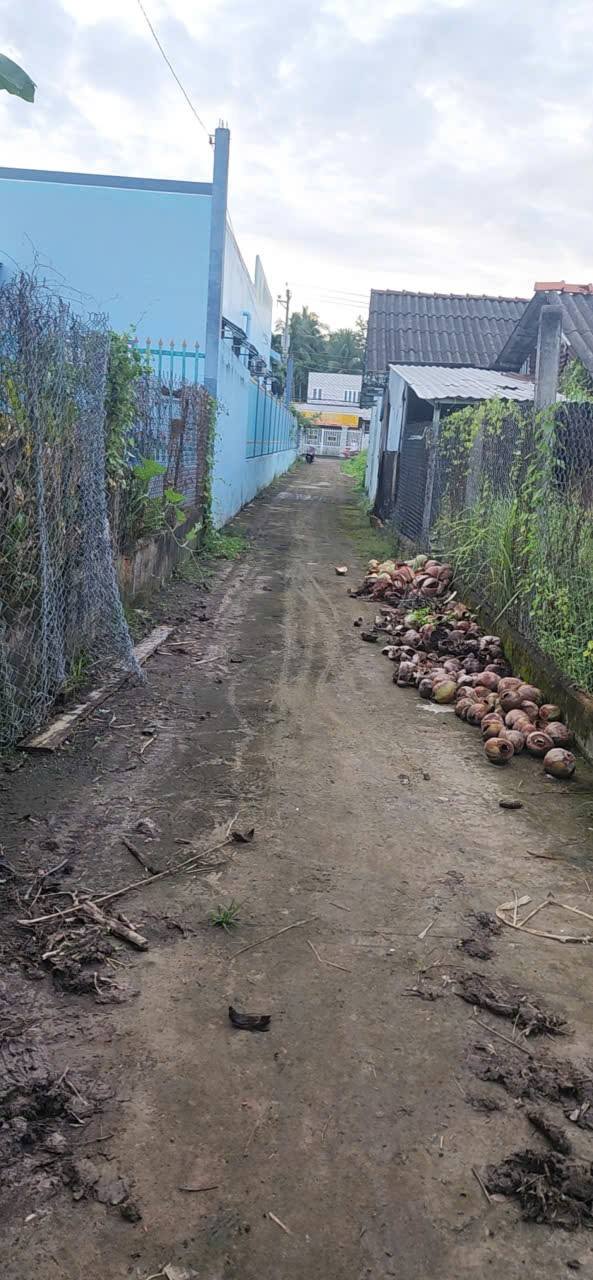 Đất nền An Hội 342m² giá 650 triệu - Xây dựng tự do!