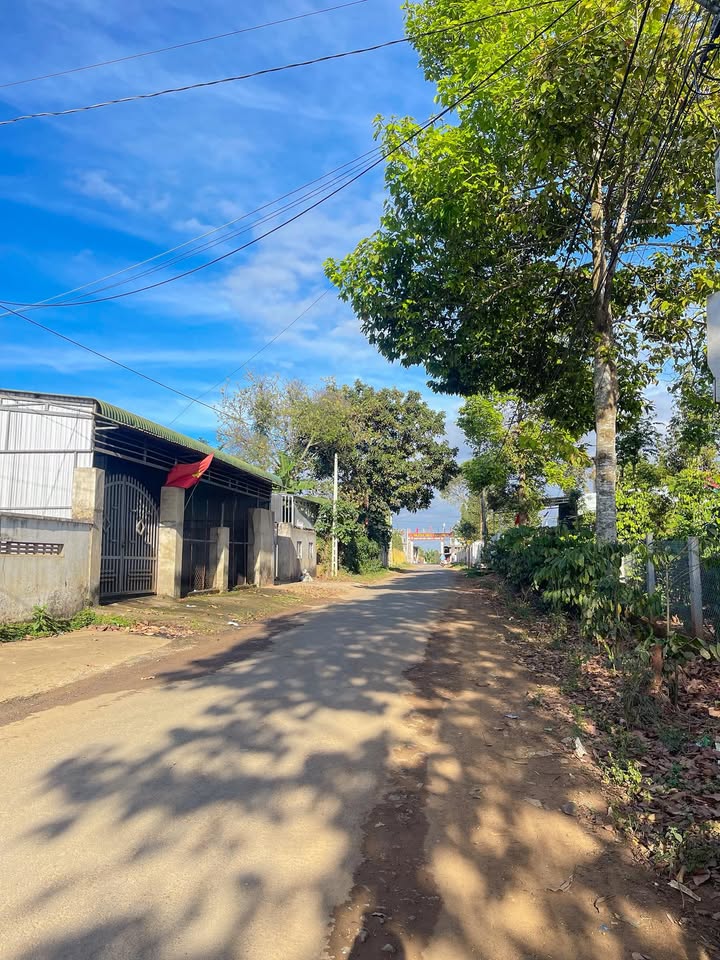 Đất nền Xã Cư Ni 490m² - Sổ đỏ chính chủ, tiềm năng tăng giá!