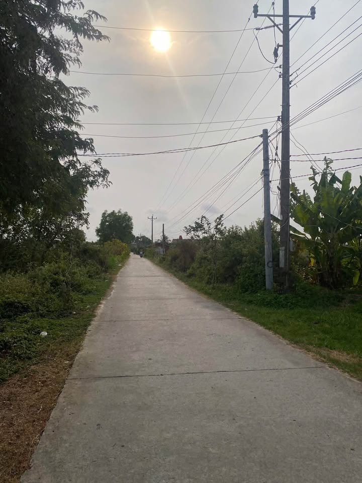 Đất Vườn 7000m² Thị Trấn Ba Tri, Bến Tre - Giá Tốt Trước Tết