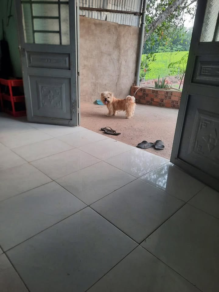 Nhà cấp 4 Vĩnh Cửu 90m² giá 269 triệu - Giá tốt hiếm có!