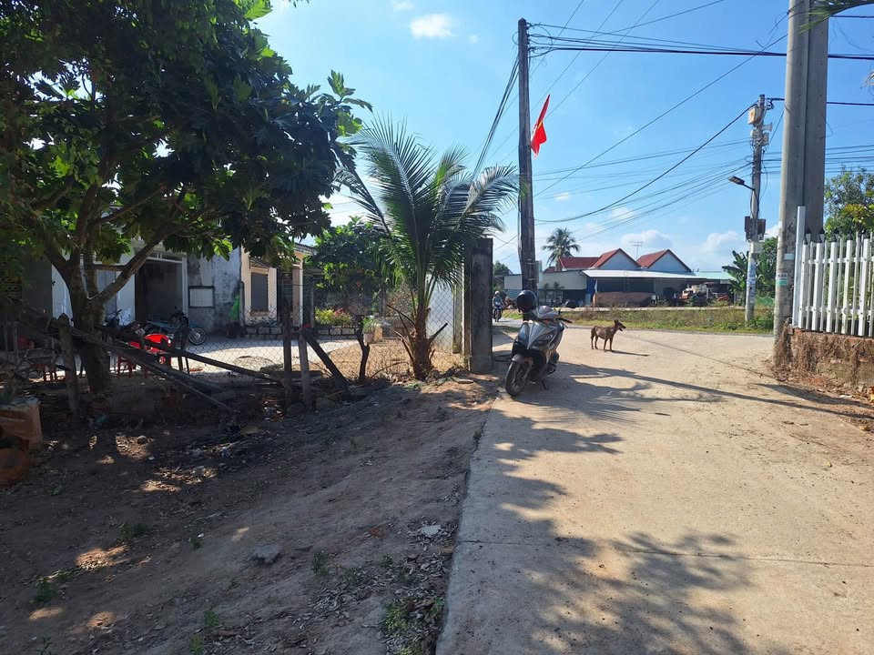 Đất Nền Diên Khánh 435m² – Tiềm Năng Tăng Giá Vượt Trội!