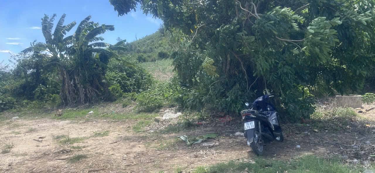 Đất nền Ninh Xuân, Ninh Hòa 9333m² - Sổ đỏ chính chủ, bán gấp!