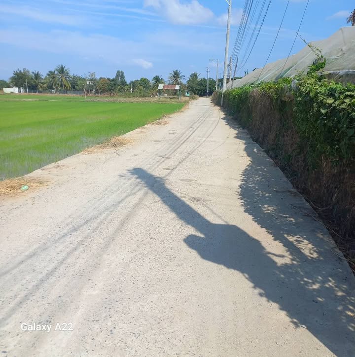 Đất vườn Phan Rang-Tháp Chàm 1500m² giá 850 triệu - Giá tốt hiếm có!