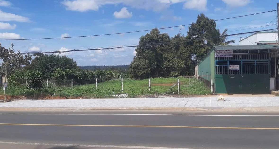 Đất nền Quốc Lộ 20 Bảo Lâm 2000m² - Sổ đỏ chính chủ, tiềm năng kinh doanh