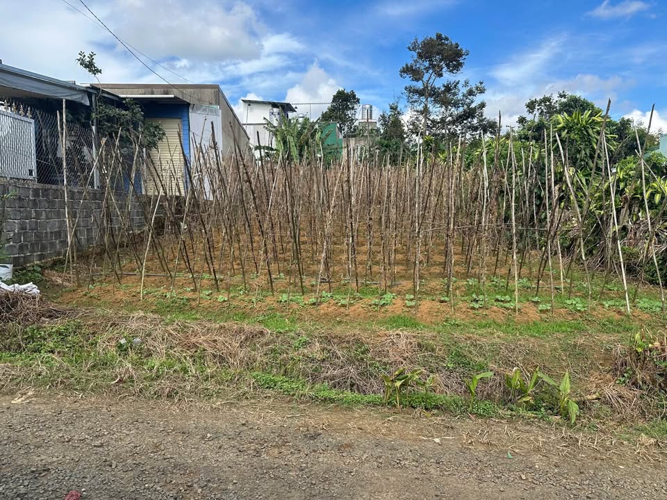 Đất nền Hẻm Lam Sơn Bảo Lộc 300m² - Tiềm năng tăng giá vượt trội!