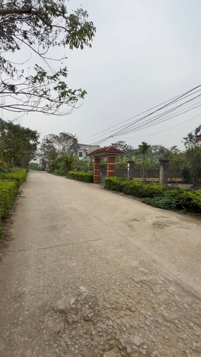 Đất Thổ Cư 300m² Vĩnh Phúc - Hơn 1 Tỷ, Sẵn Sổ, Mặt Tiền 10m