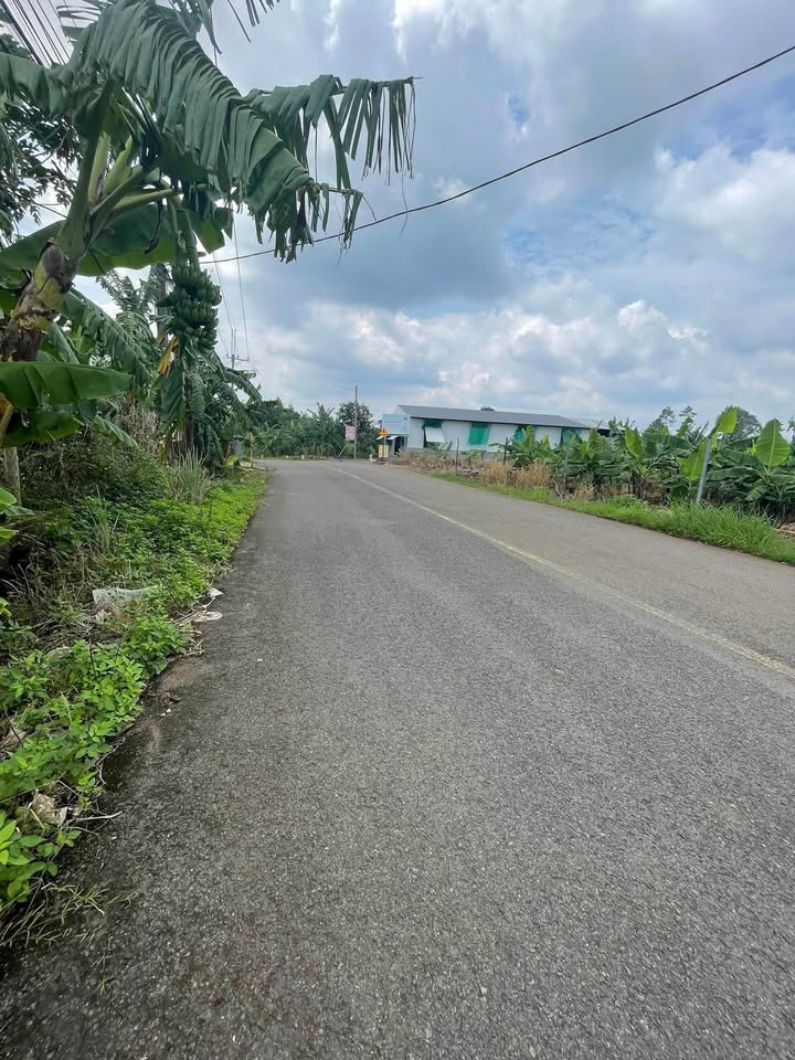 Bán Gấp Đất 360m² Mặt Tiền 23m Đường Nhựa Tây Kim, Đồng Nai - 1.35 Tỷ