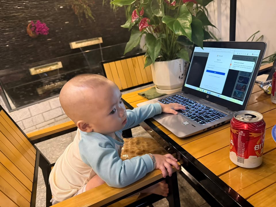 Đất Vườn 2600m² Sổ Đỏ Tại Ninh Đa, Ninh Hòa - Tiềm Năng Kinh Doanh Vượt Trội