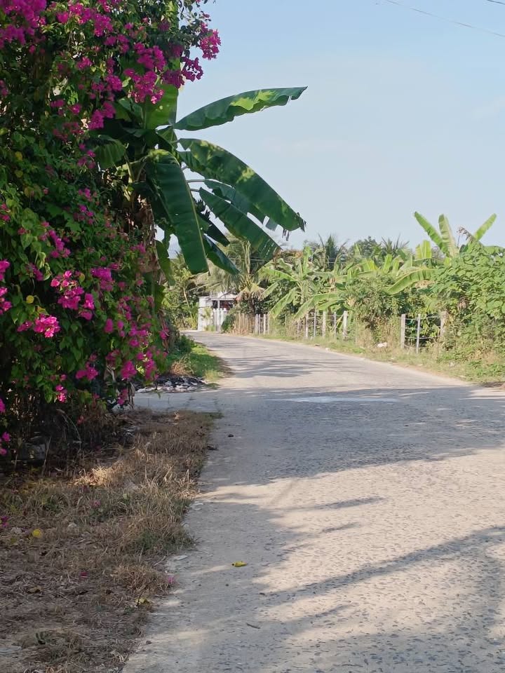 Đất nền Diên Bình Diên Khánh 241m² 3.133 tỷ Sổ đỏ chính chủ