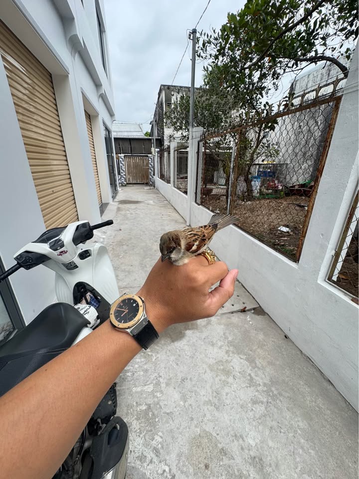 Nhà 1 trệt 1 lầu Rạch Giá 1.68 tỷ - Sẵn sàng ở ngay!