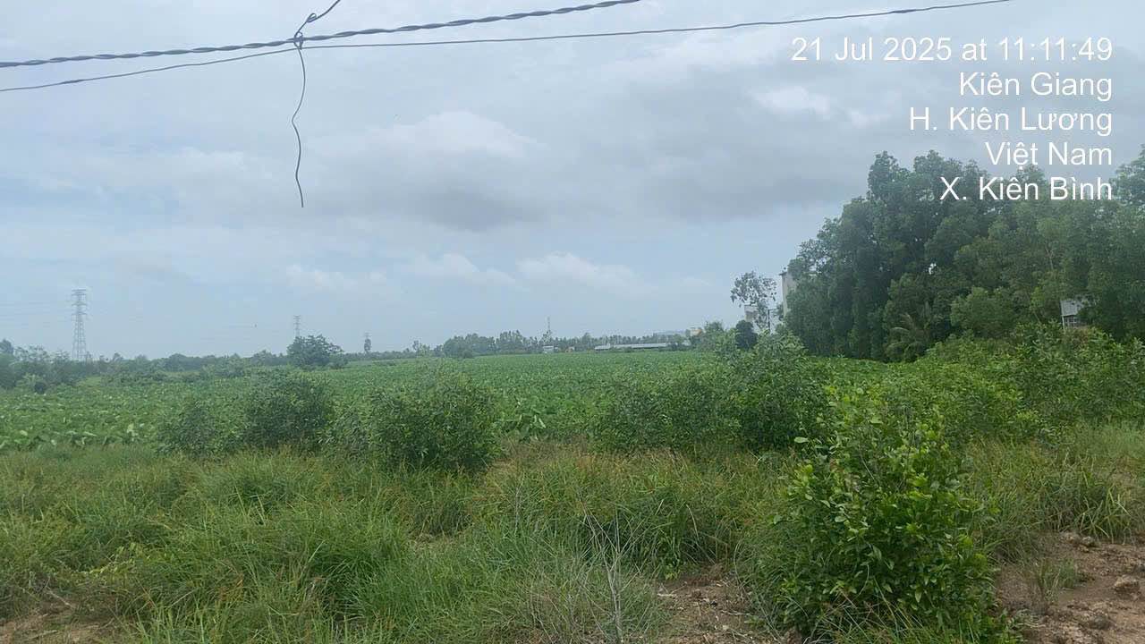 Đất vườn Kiên Lương 24.120m² - Sổ hồng rõ ràng, đầu tư sinh lời!