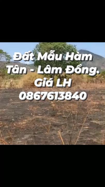 Đất nền Tân Nghĩa 10000m² Bình Thuận - Tiềm năng tăng giá vượt trội!