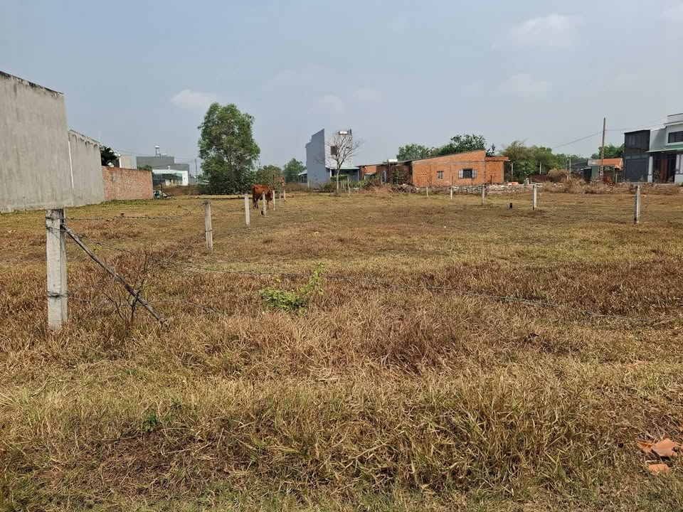 Đất nền Mỹ Hạnh Bắc 175m² giá 1.25 tỷ - Đường to ô tô tới đất!