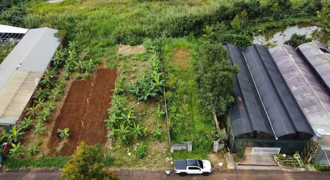 Đất nền Di Linh, Lâm Đồng 192m² - Sổ đỏ chính chủ!