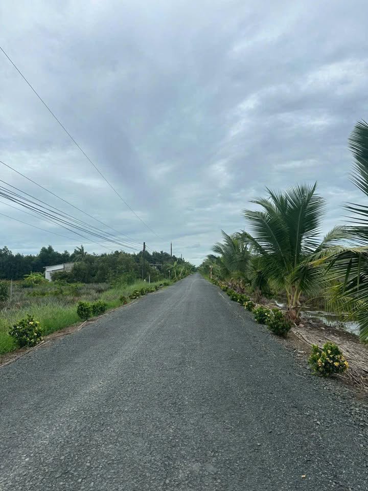 Đất nền xã Hỏa Lựu 1032m² giá 300 triệu - Sổ đỏ chính chủ!