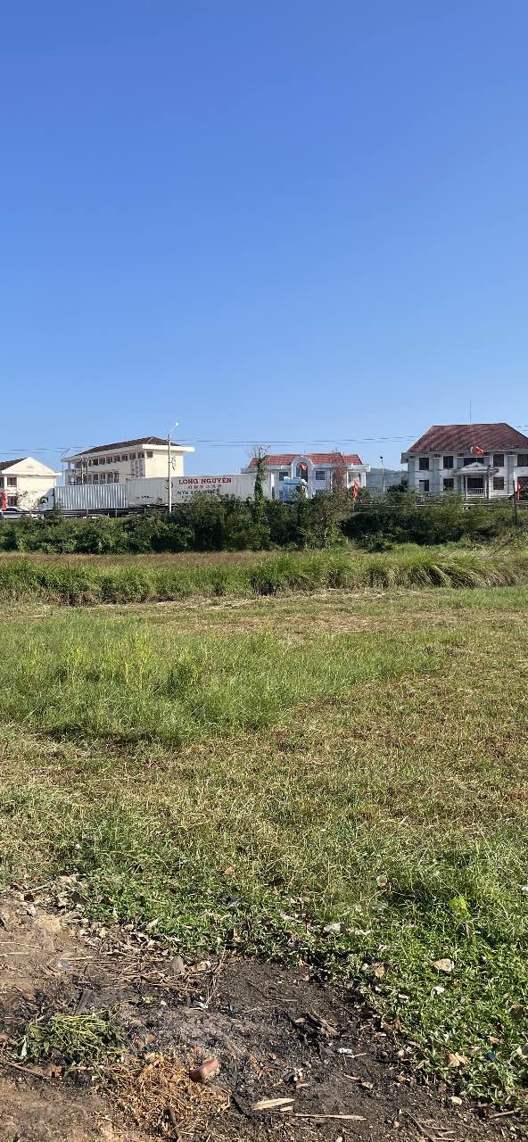 Bán đất Bồng Sơn Hoài Nhơn 800m² Sổ đỏ chính chủ - Đầu tư sinh lời!