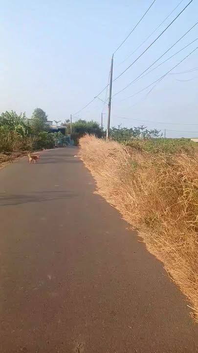 Bán Đất Nền 4100m² Xã Sơn Bình, Châu Đức - Sẵn 300m² Thổ Cư