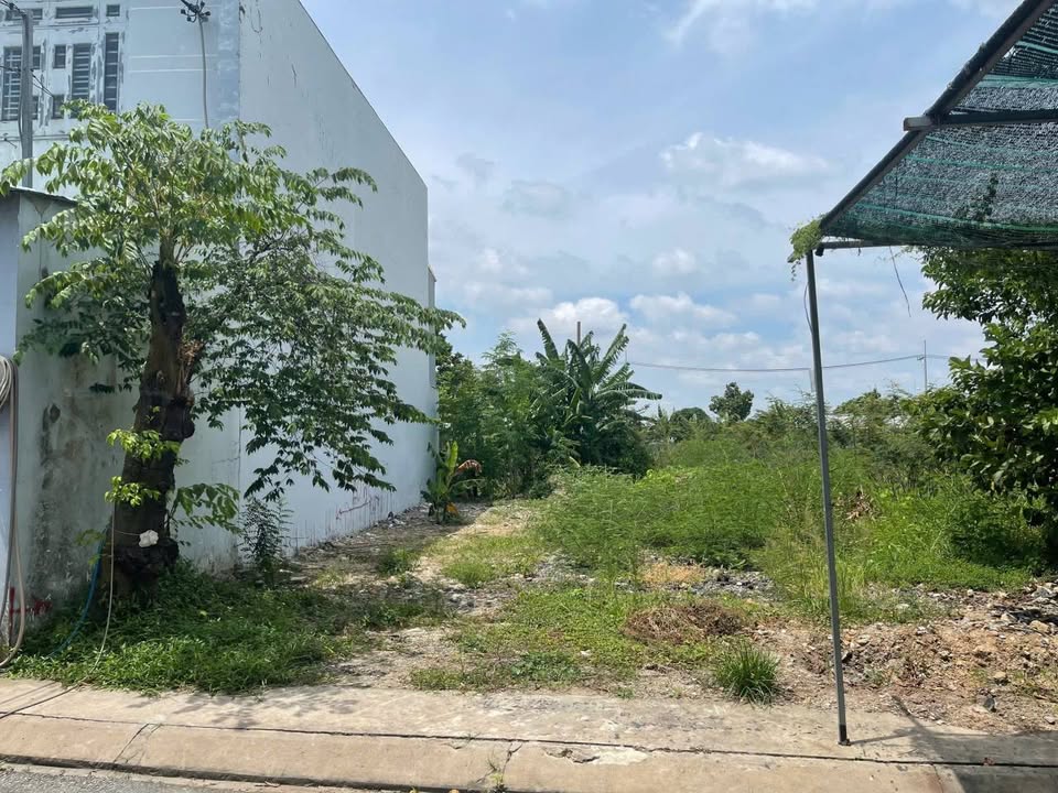 Bán Đất Thổ Cư Hóc Môn 200m² Sổ Hồng Riêng - Giá 6.6 Tỷ