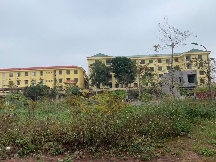 Đất nền KOSY CẦU GỒ - 80m² hướng Đông - Sổ đỏ sẵn sàng giao dịch