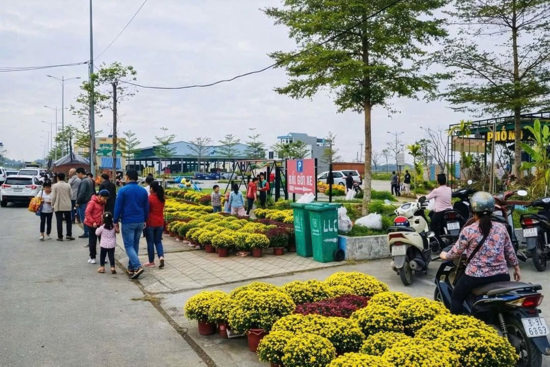 Đất nền Phường Quảng Phú, TP. Thanh Hóa - 100m² giá 1.45 tỷ, view trường học