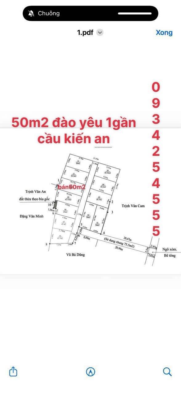 Đất nền 50m² Đào Yêu 1, Hồng Thái - Sổ đỏ sẵn, giá hơn 1 tỷ