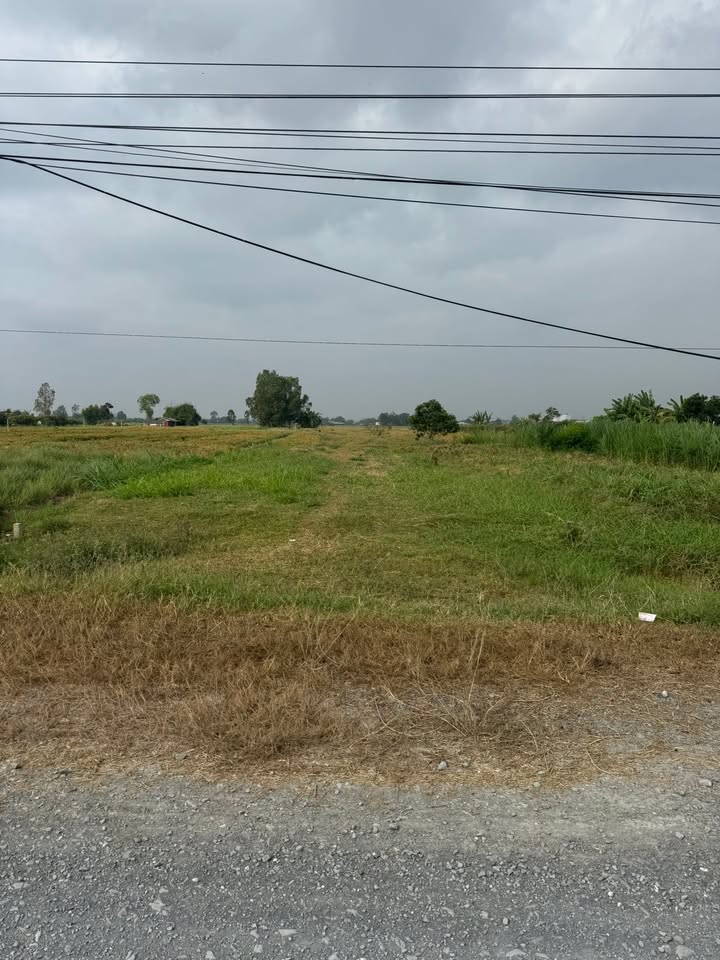 Đất nền Sa Đéc 188.7m² 400 triệu - Tiềm năng tăng giá vượt trội!