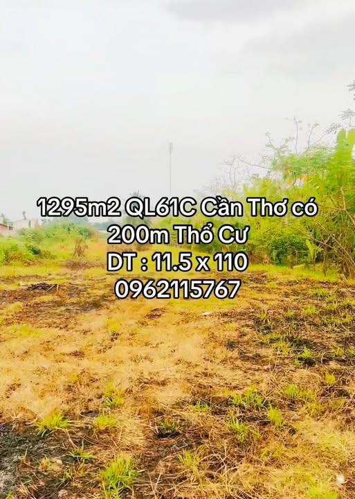 Đất Nền Mặt Tiền QL61C Phong Điền, Cần Thơ - 1295m² Thổ Cư, Giá Tốt