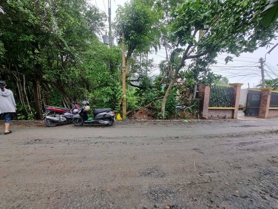 Bán Đất 900m² Cần Thơ - Sổ Hồng Sẵn Sàng, Gần Đại Học Tây Đô