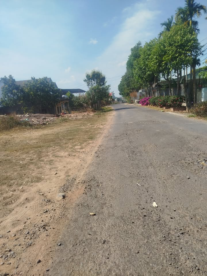 Đất Nền 306m² Trục Chính Nguyễn Đình Chiểu, Đắk Lắk - Giá Tốt 950 Triệu