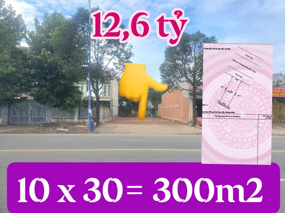 Đất Vàng Đại Lộ Võ Văn Kiệt 300m² - Sổ Hồng Thổ Cư, Kinh Doanh Đa Ngành