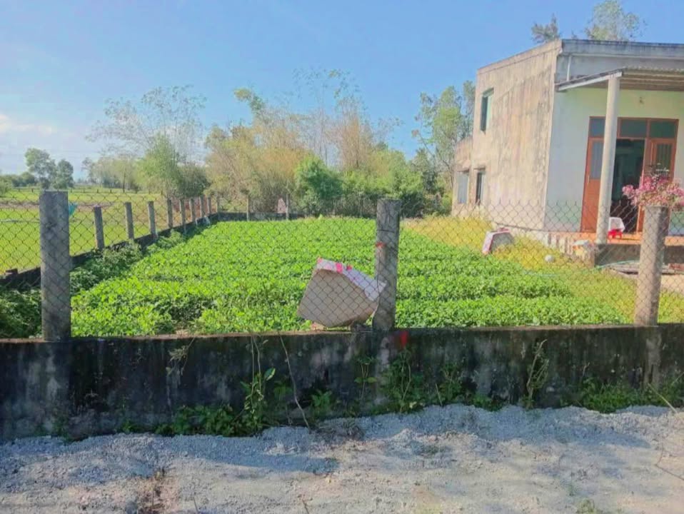 Đất nền Bình Đào 312m² - Tiềm năng tăng giá vượt trội!