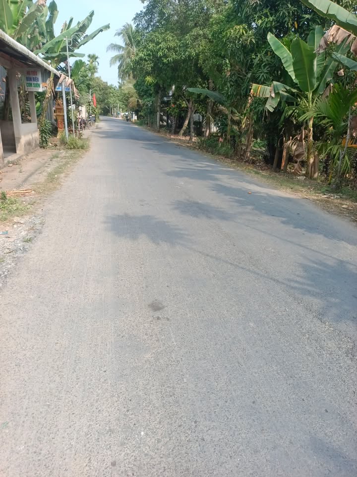 Bán đất nền Phong Phú Cầu Kè 120m² giá 600 triệu - Vị trí đắc địa!