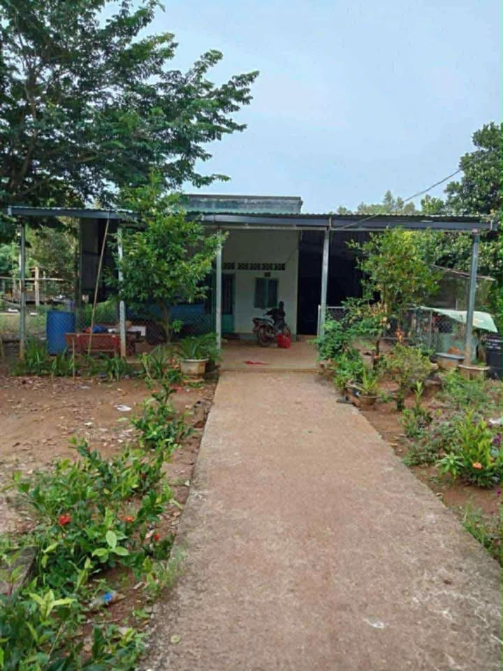 Đất Nền 1000m² Xã Thanh An, Dầu Tiếng - Sẵn Sổ Sẵn Ở