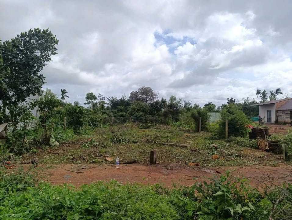 Đất nền Ea Drông Buôn Hồ 130m² 320 triệu - Pháp lý rõ ràng