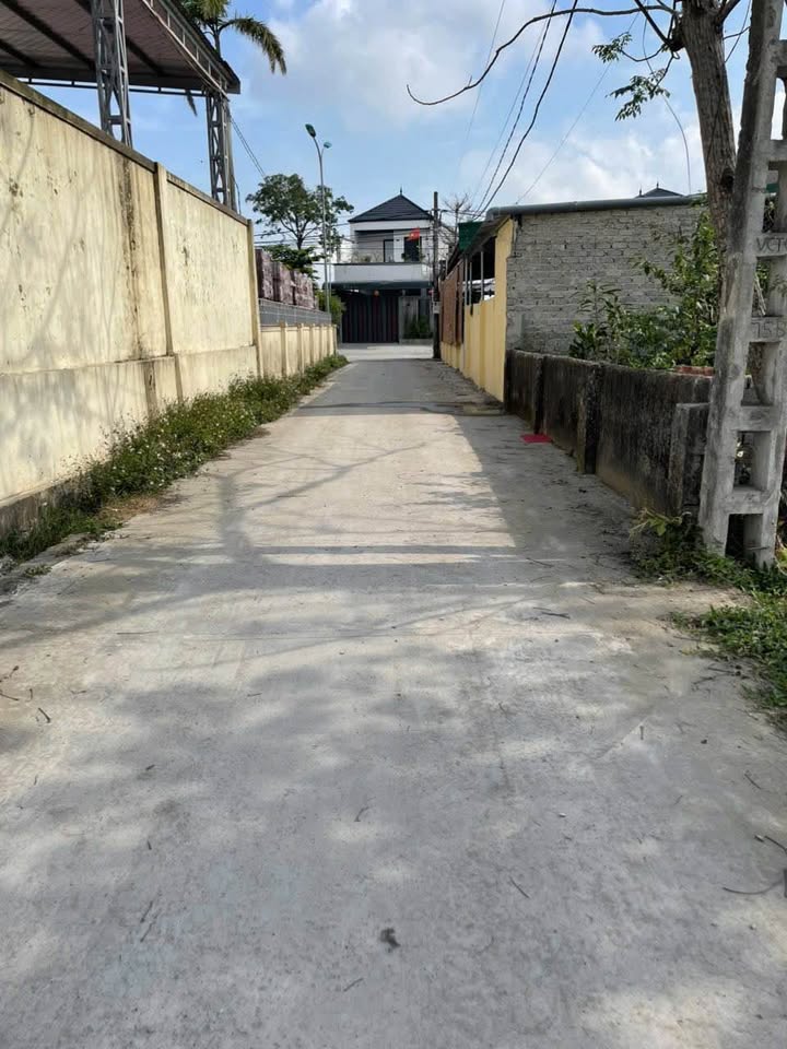 Đất nền Nghi Thái, Nghi Lộc 289m² - Sổ đỏ chính chủ, tiềm năng đầu tư!