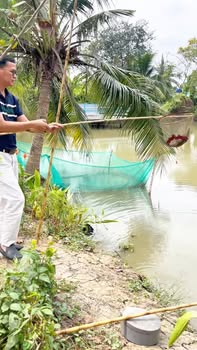 Đất Vườn Nghỉ Dưỡng 12.500m² Hưng Long, Bình Chánh - Sổ Hồng Chính Chủ